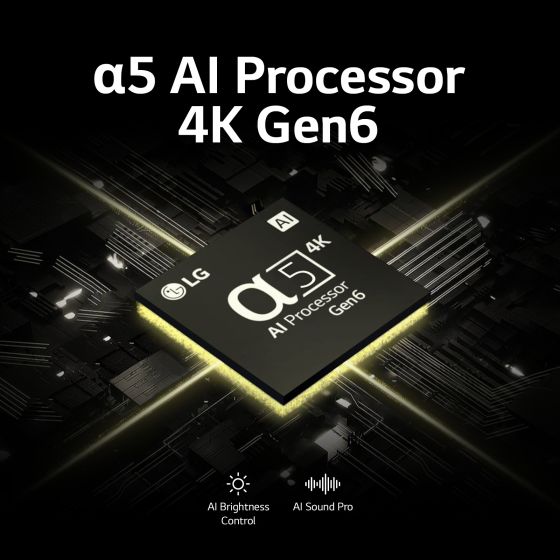 تلفزيون سمارت ال جي ، مقاس 55 بوصة ، NanoCell ، دقة 4K UHD ، ببريسفر داخلي