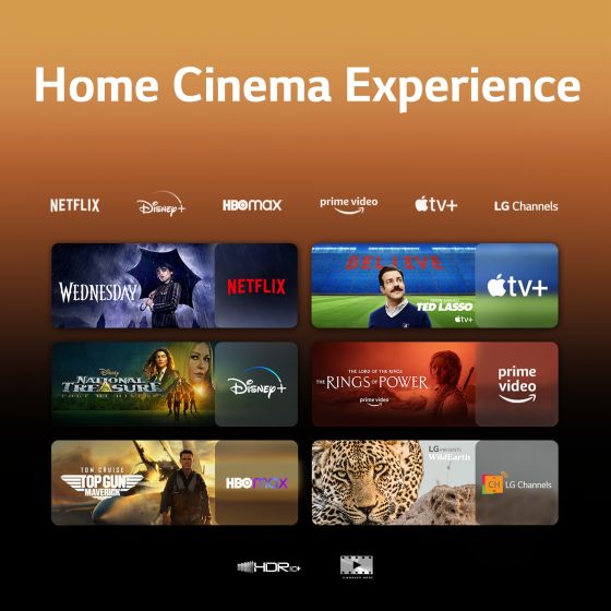 تلفزيون سمارت ال جي ، مقاس 55 بوصة ، NanoCell ، دقة 4K UHD ، ببريسفر داخلي